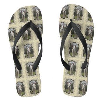 Bright N Sparkling Llama In Gold Champagne Flip Flops by PandaCatGallery at Zazzle
