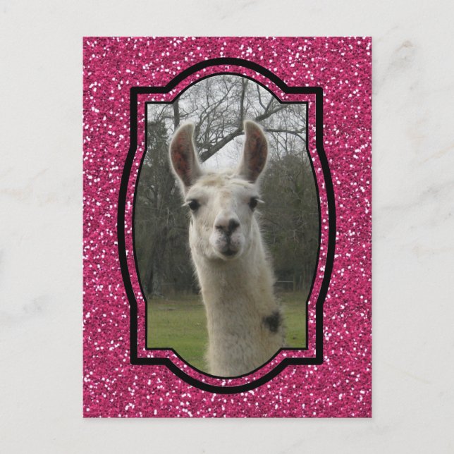 Bright N Sparkling Llama in Hot Pink Postcard (Front)
