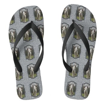 Bright N Sparkling Llama In Silver Flip Flops by PandaCatGallery at Zazzle