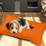 Bright Neon Style Modern Personalized Name Dog Pet Bed at Zazzle
