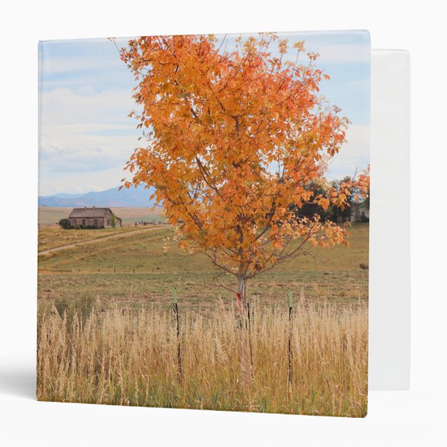 Bright October  3 Ring Binder (Front/Inside)