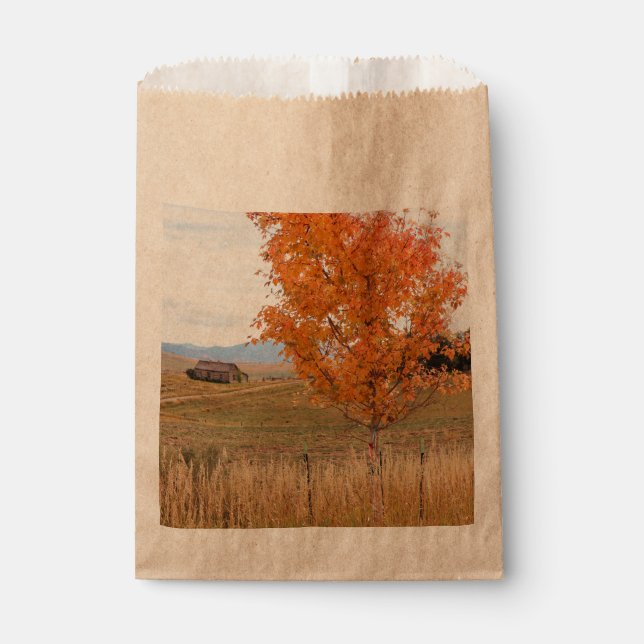 Bright October  Favor Bag (Front)