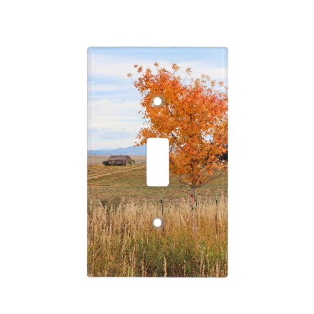 Bright October  Light Switch Cover (Front)