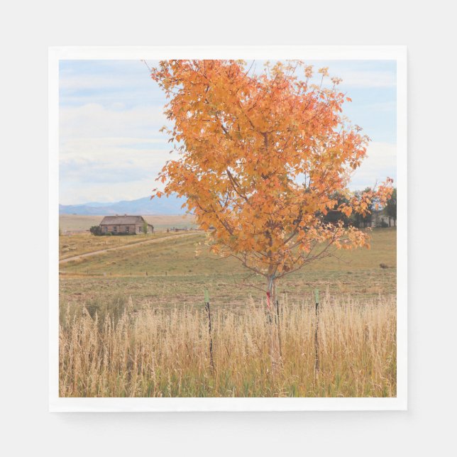 Bright October  Napkins (Front)