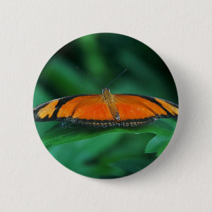 Bright Orange and Black Butterfly on Leaf Button