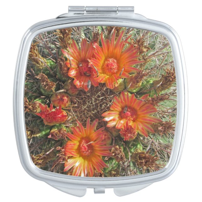 Bright Orange Cactus Flower Bloom Nature Photo Compact Mirror (Front)