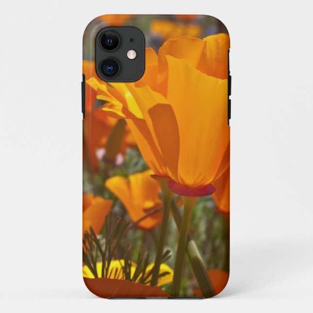 Bright orange california poppies Case-Mate iPhone case (Back)