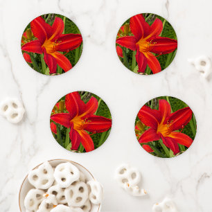Bright Orange Daylily Bloom Floral Coaster Set