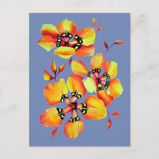 Bright Orange Flowers - Blue Grey Postcard (Front)
