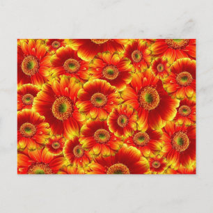 Bright Orange Flowers Postcard