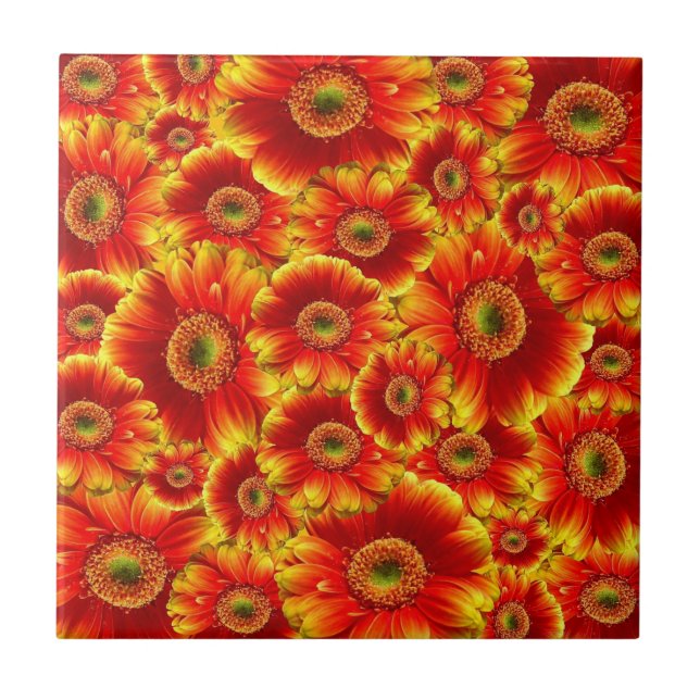 Bright Orange Flowers Smash Ceramic Tile (Front)