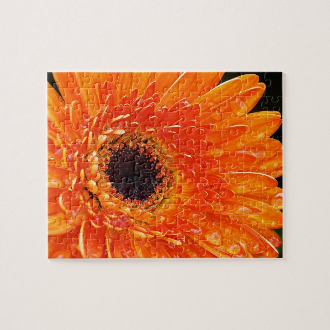 Bright Orange Gerbera Daisy Macro Photography Jigsaw Puzzle (Horizontal)