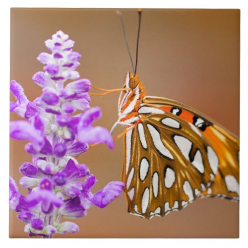 Bright Orange Gulf Fritillary Butterfly Ceramic Tile