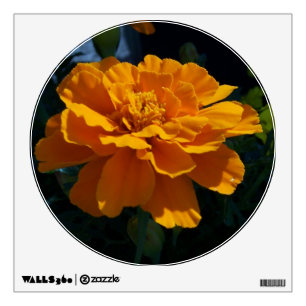 Bright Orange Marigold Wall Decals