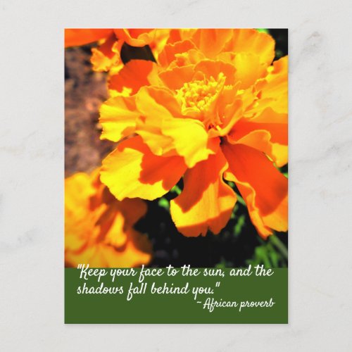 Bright Orange Marigolds Flowers Inspiring Quote Postcard