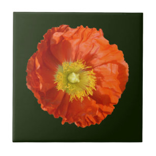 Bright Orange Poppy Flower Ceramic Tile