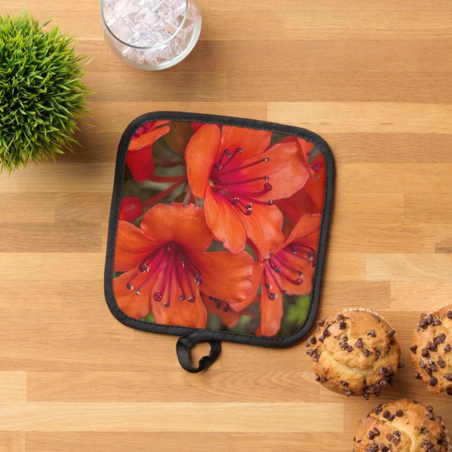 Bright Orange Rhododendron Blooms Floral Pot Holder (Top Down)