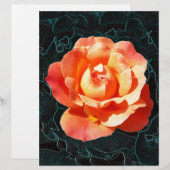 Bright orange rose (Front/Back)