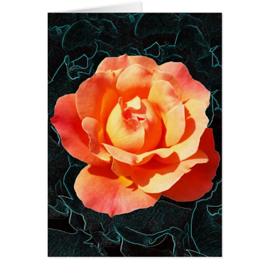 Bright orange rose cards (Front)