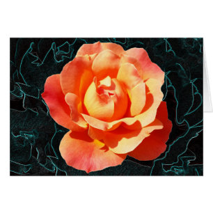 Bright orange rose cards