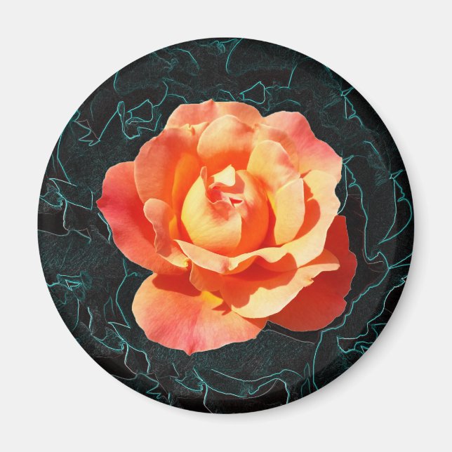 Bright orange rose magnet (Front)