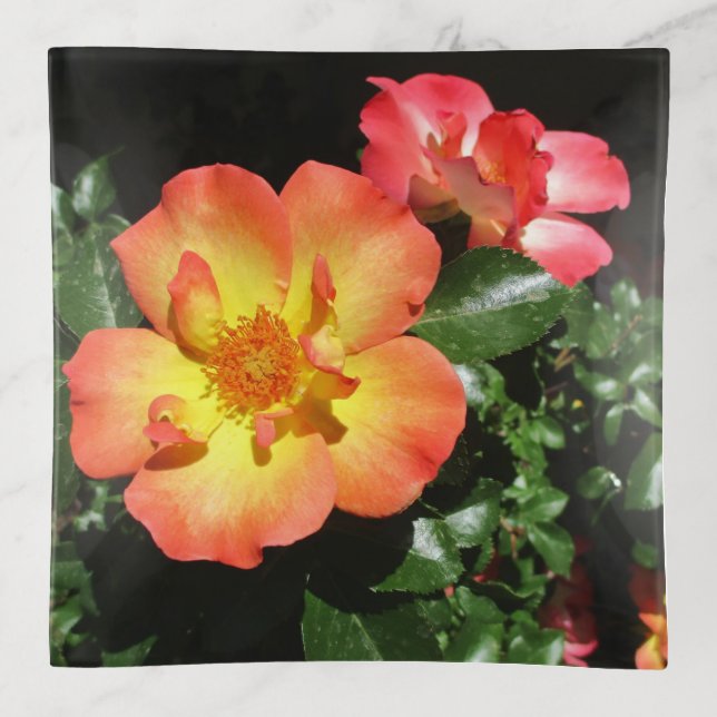 Bright Orange Roses - Dark Aspect Trinket Tray (Front)