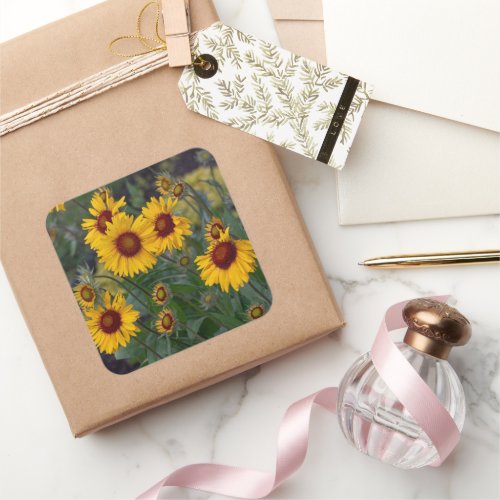 Bright Orange Sunflower Bloom Square Sticker