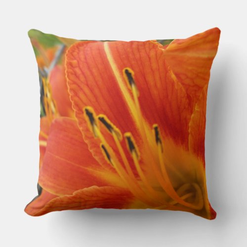 bright orange throw pillow