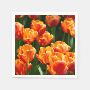 Bright orange tulips in the park napkins