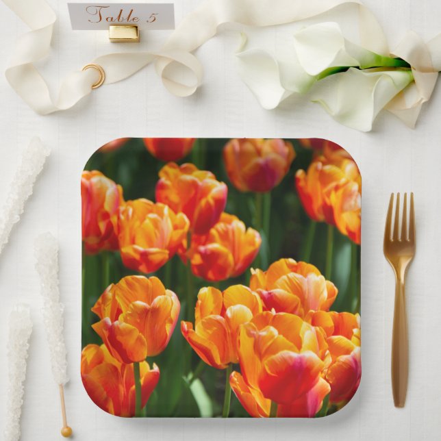 Bright orange tulips in the park   paper plates (Wedding)