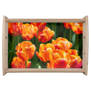 Bright orange tulips in the park serving tray