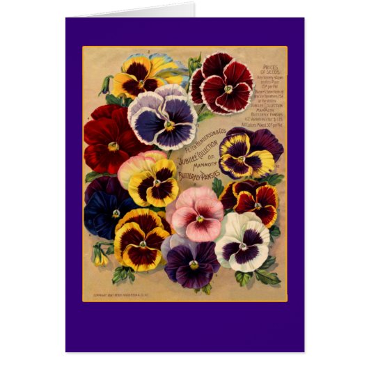 Bright Pansies Seed Packet Art on Cards (Front)