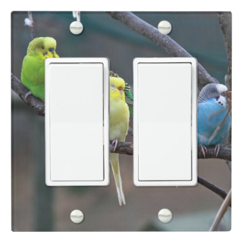 Bright Parakeets Budgies Parrots Colorful Birds Light Switch Cover