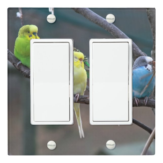 Bright Parakeets Budgies Parrots Colorful Birds Light Switch Cover (In Situ)