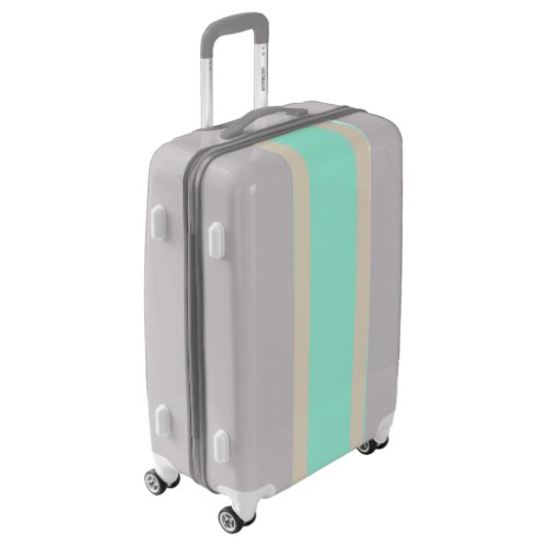 Bright pastel blue and gray striped lines luggage
