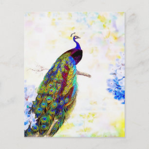 Bright peacock