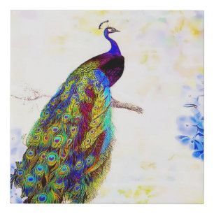 Bright peacock faux canvas print