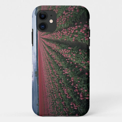 Bright pink and red tulips glow under dark iPhone 11 case