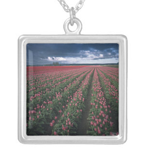 Bright pink and red tulips glow under dark silver plated necklace