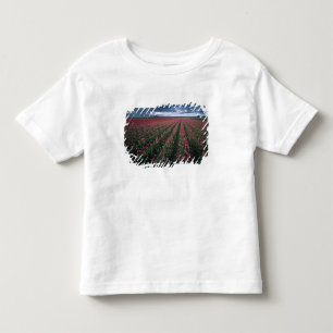 Bright pink and red tulips glow under dark toddler t-shirt
