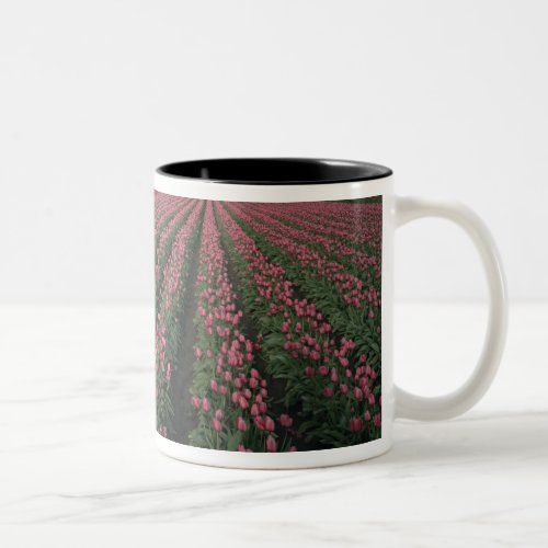 Bright pink and red tulips glow under dark Two_Tone coffee mug