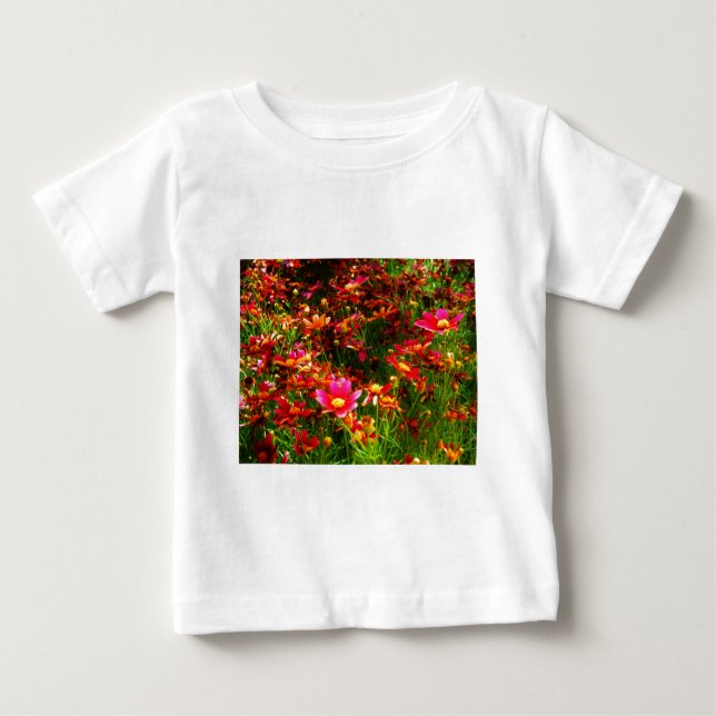 Bright pink and yellow Daisy Wild flowers Baby T-Shirt (Front)
