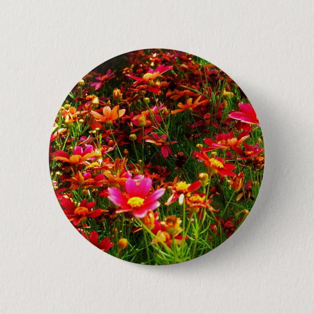 Bright pink and yellow Daisy Wild flowers Button (Front)