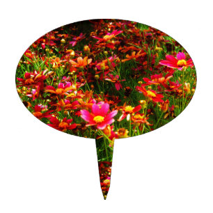 Bright pink and yellow Daisy Wild flowers Cake Topper