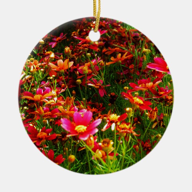 Bright pink and yellow Daisy Wild flowers Ceramic Ornament (Front)