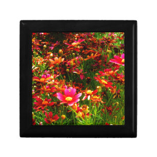 Bright pink and yellow Daisy Wild flowers Jewelry Box