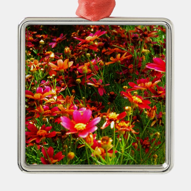Bright pink and yellow Daisy Wild flowers Metal Ornament (Front)