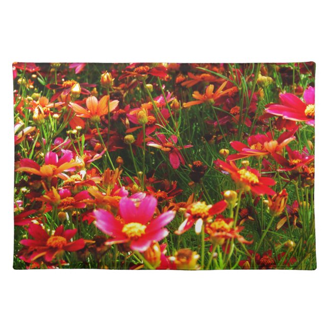 Bright pink and yellow Daisy Wild flowers Placemat (Front)