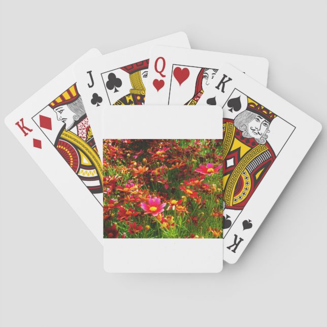 Bright pink and yellow Daisy Wild flowers Poker Cards (Back)