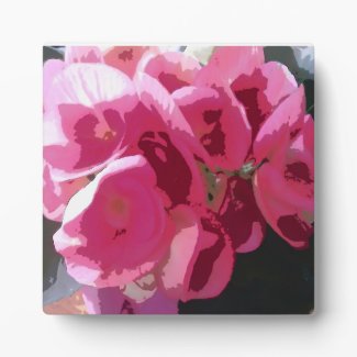 Bright Pink Begonia Graphic Plaque